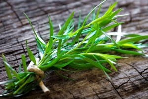  Estragono: kelkaj uzoj de ĉi tiu aroma herbo