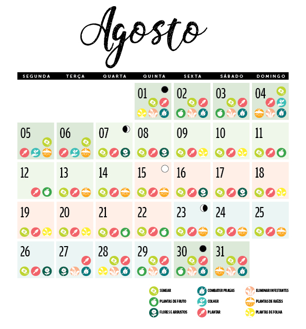  Augustus 2019 maankalender