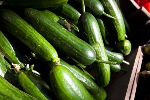  10 truuks vir goeie komkommerproduksie
