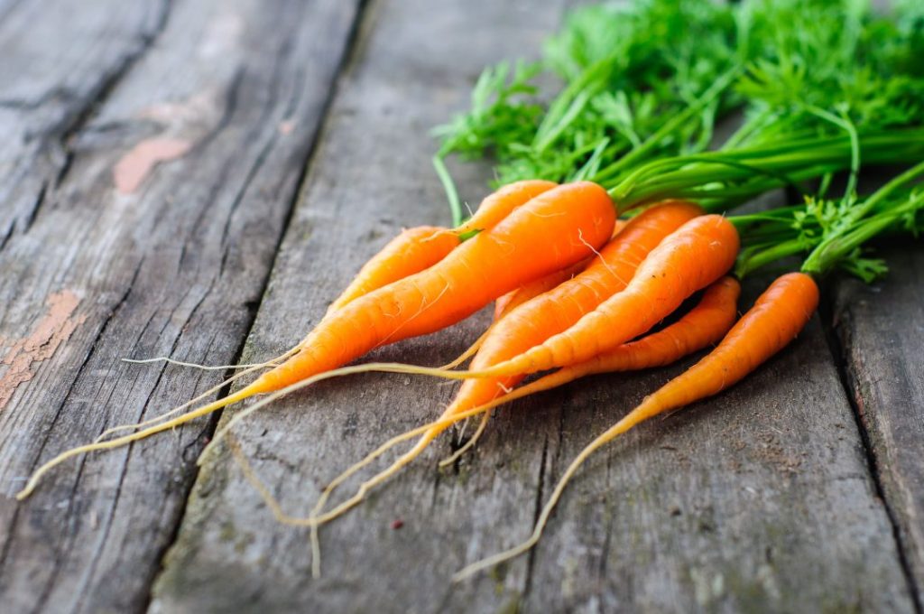  Βρώσιμες ρίζες: καρότα