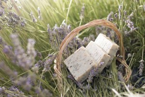  10 gagasan pikeun ngagunakeun lavender