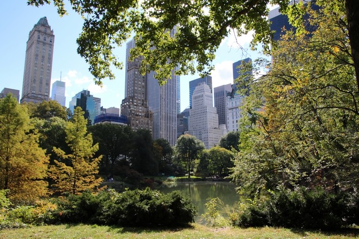  New York'ta Central Park'ı ziyaret edin